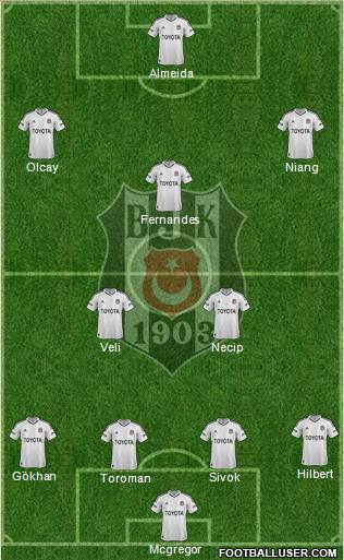 Besiktas JK Formation 2013