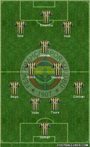 Fenerbahçe SK Formation 2013