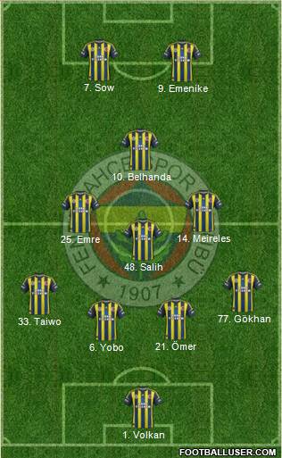 Fenerbahçe SK Formation 2013
