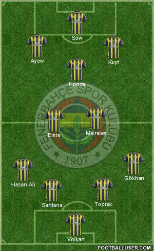 Fenerbahçe SK Formation 2013