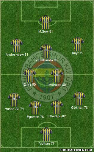 Fenerbahçe SK Formation 2013