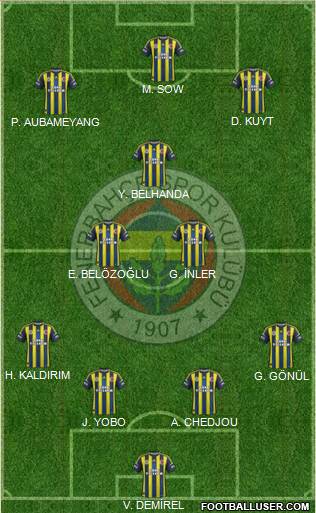 Fenerbahçe SK Formation 2013
