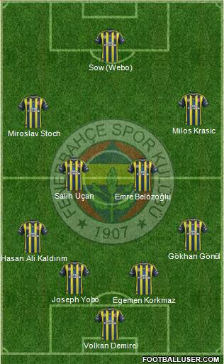 Fenerbahçe SK Formation 2013