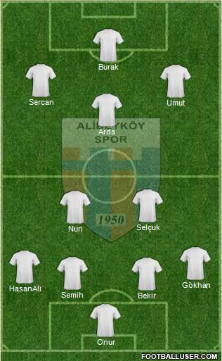 Alibeyköy Formation 2013
