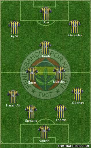 Fenerbahçe SK Formation 2013