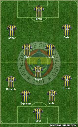 Fenerbahçe SK Formation 2013