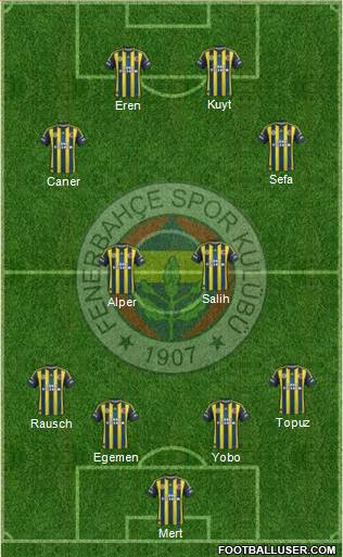 Fenerbahçe SK Formation 2013