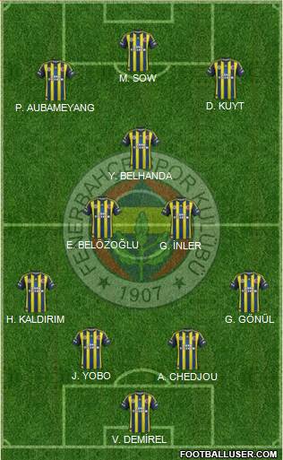 Fenerbahçe SK Formation 2013
