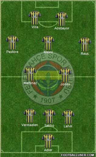 Fenerbahçe SK Formation 2013