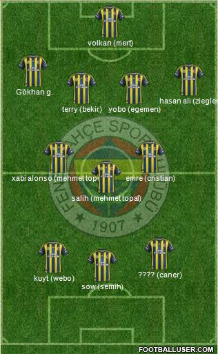Fenerbahçe SK Formation 2013
