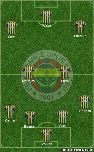 Fenerbahçe SK Formation 2013