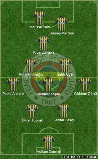 Fenerbahçe SK Formation 2013