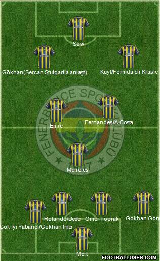Fenerbahçe SK Formation 2013