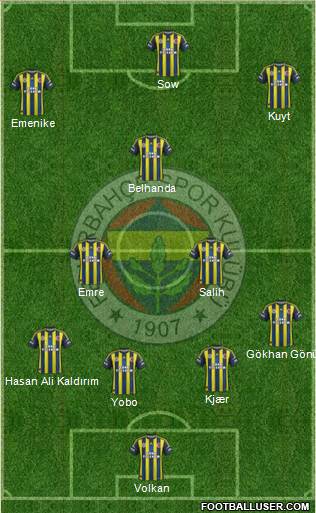 Fenerbahçe SK Formation 2013