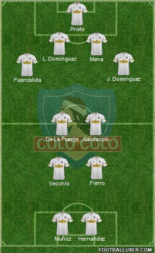 CSD Colo Colo Formation 2013