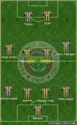 Fenerbahçe SK Formation 2013
