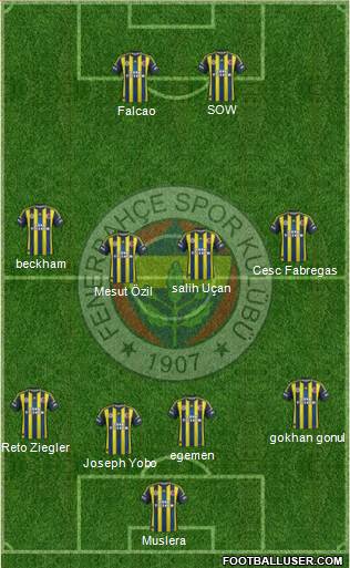 Fenerbahçe SK Formation 2013