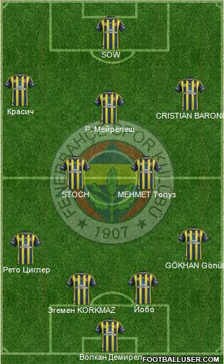 Fenerbahçe SK Formation 2013