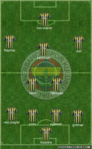 Fenerbahçe SK Formation 2013