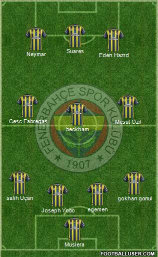 Fenerbahçe SK Formation 2013