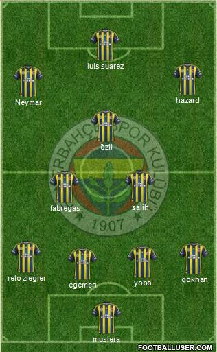 Fenerbahçe SK Formation 2013