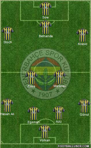 Fenerbahçe SK Formation 2013