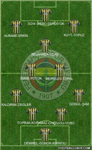 Fenerbahçe SK Formation 2013