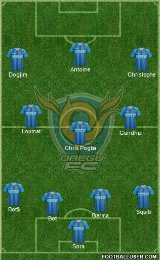 Daegu FC Formation 2013