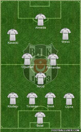 Besiktas JK Formation 2013