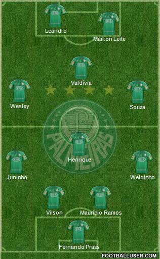 SE Palmeiras Formation 2013