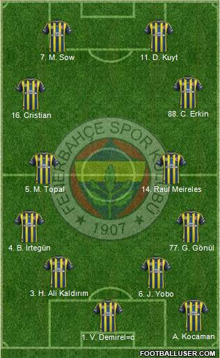 Fenerbahçe SK Formation 2013