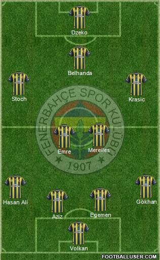 Fenerbahçe SK Formation 2013