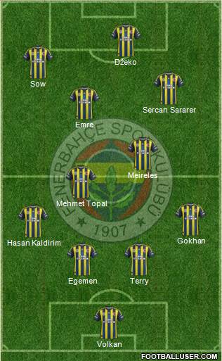 Fenerbahçe SK Formation 2013