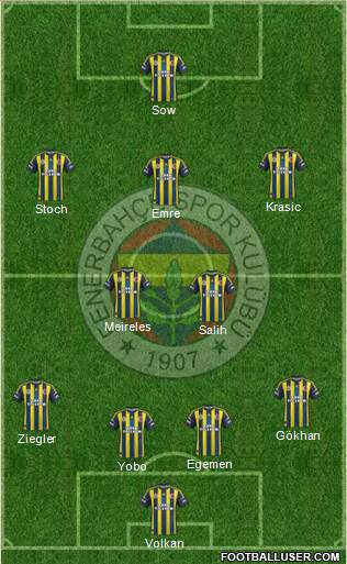 Fenerbahçe SK Formation 2013