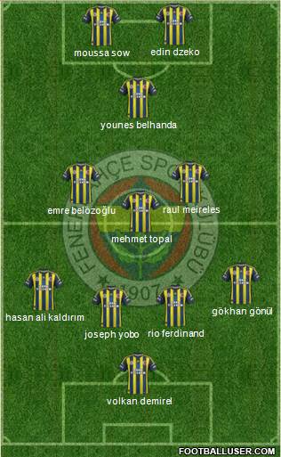 Fenerbahçe SK Formation 2013