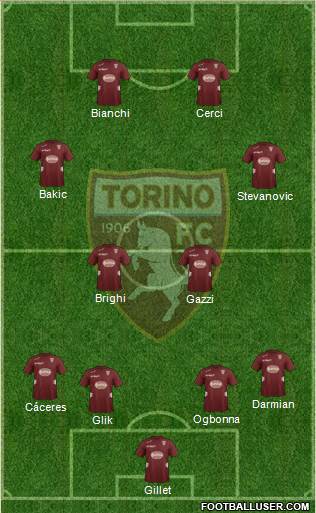 Torino Formation 2013