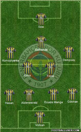 Fenerbahçe SK Formation 2013