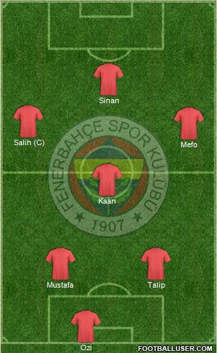 Fenerbahçe SK Formation 2013