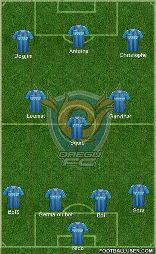Daegu FC Formation 2013