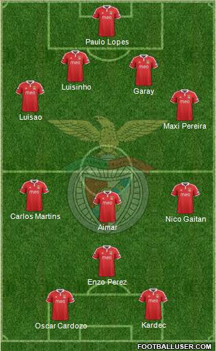 Sport Lisboa e Benfica - SAD Formation 2013