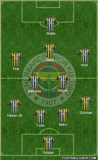 Fenerbahçe SK Formation 2013