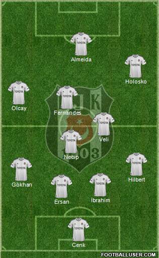 Besiktas JK Formation 2013