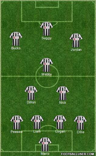 Newcastle United Formation 2013