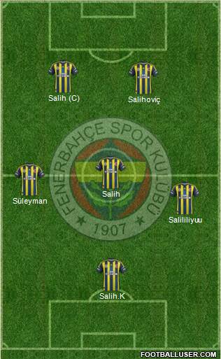Fenerbahçe SK Formation 2013