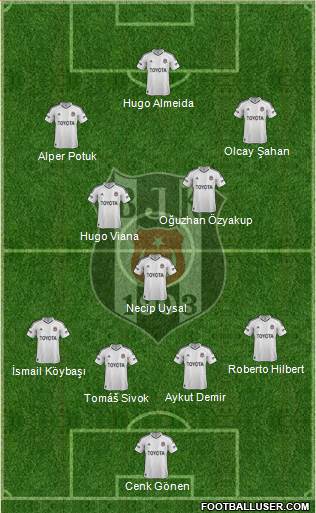 Besiktas JK Formation 2013