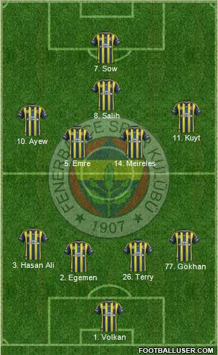 Fenerbahçe SK Formation 2013