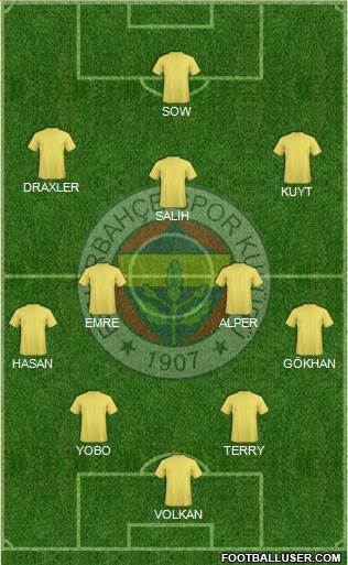 Fenerbahçe SK Formation 2013