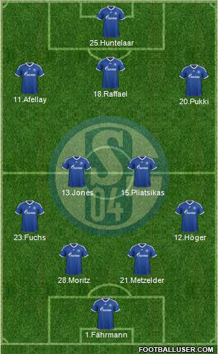 FC Schalke 04 Formation 2013