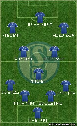 FC Schalke 04 Formation 2013
