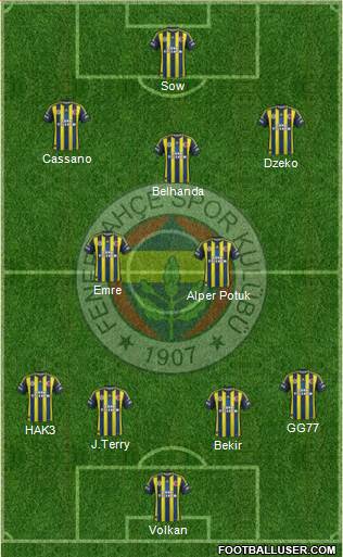 Fenerbahçe SK Formation 2013